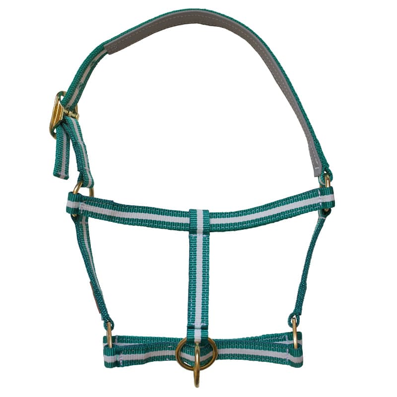 Cabezada cuadra nylon marjoman closed mouth - Imagen 2
