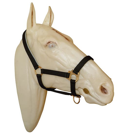 Cabezada cuadra nylon marjoman closed mouth - Imagen 3