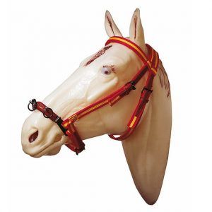 Cabezada nylon doma marjoman serretón forrado