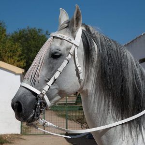 Cabezada jerezana cosida mano Marjoman, con adorno de piña de hilo en la frontalera y riendas