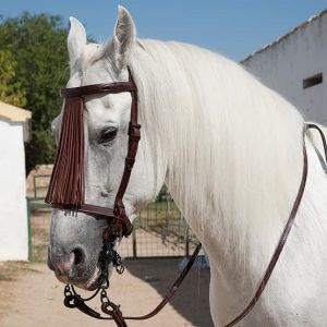 Cabezada vaquera Marjoman mod. español alomada con piña de cuero y riendas