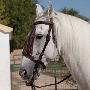 Cabezada vaquera Marjoman mod. jerezana, frontalera alomada con piña de cuero y riendas