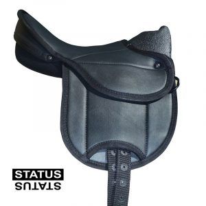 Silla status niño con agarradero
