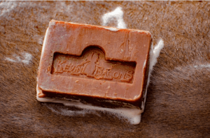 KEVIN BACON´S ACTIVE SOAP