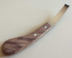 LEGRA ECONÓMICA MANGO DE MADERA