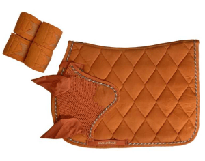 JUEGO DE MANTILLA + VENDAS + OREJERAS