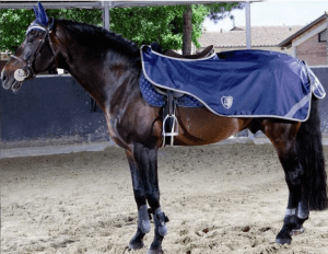 MANTA RIÑONERA IMPERMEABLE POLAR