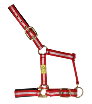 Cabezada de nylon con refuerzo elastotex y ojetes