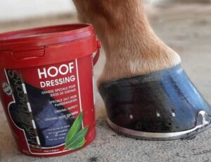 Pomada para cascos Kevin Bacon´s hoof dressing